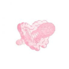 RaZ-Berry Pink Teether